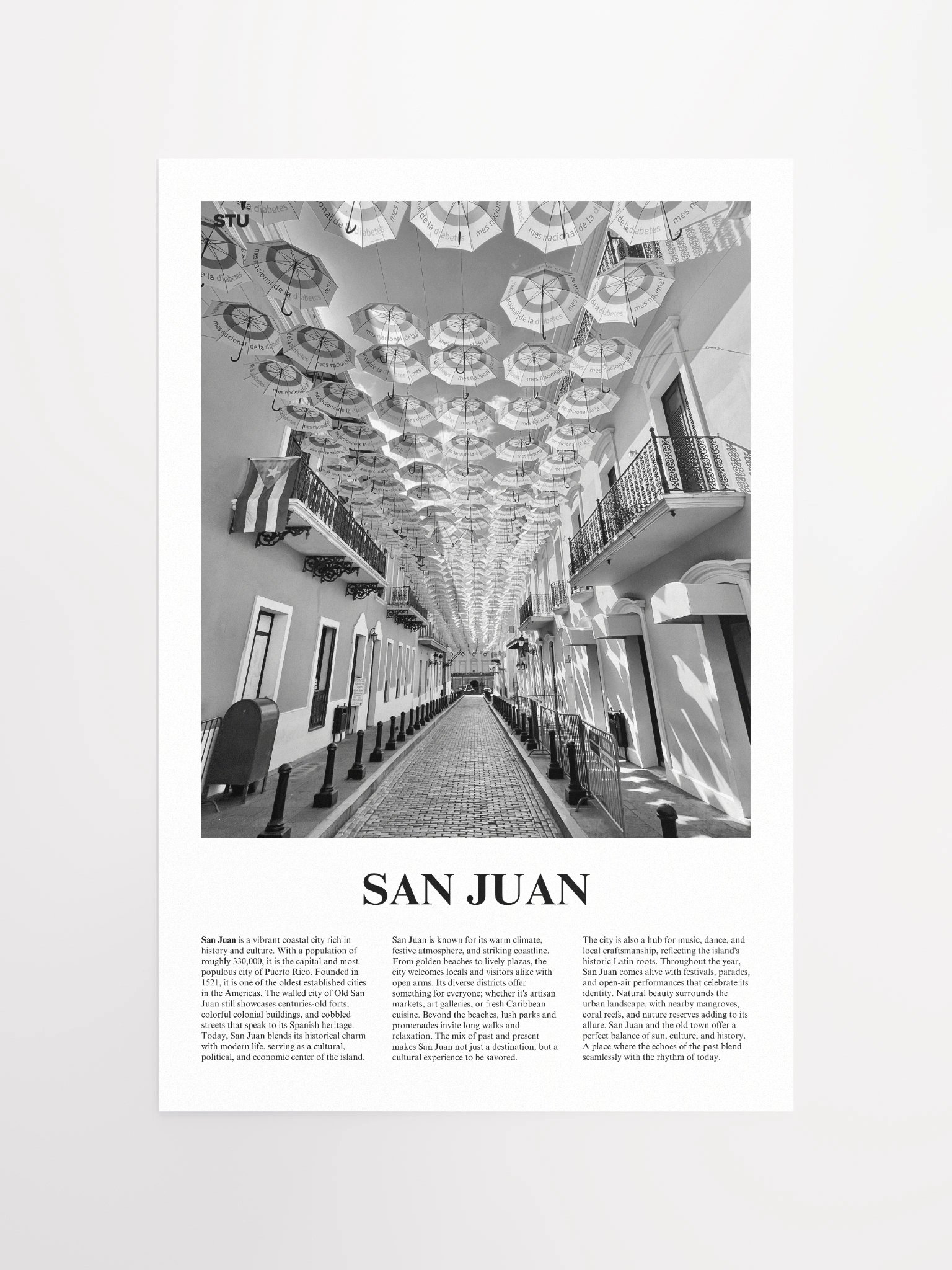 San Juan 03 Newspaper Poster product image (5)