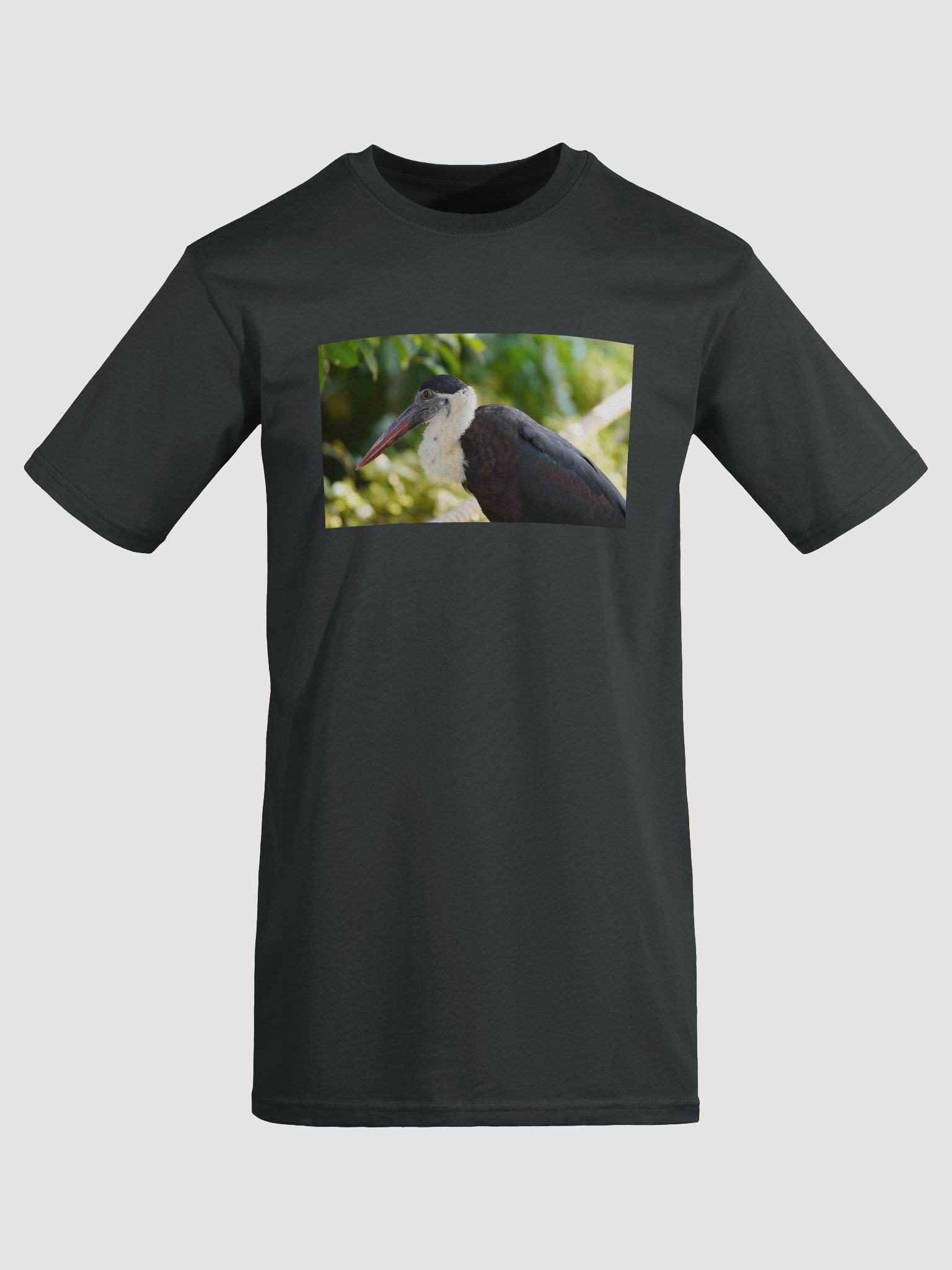 Avian Elegance Men's Tee product image (5)