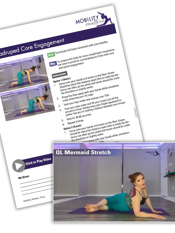 Mobility Programs