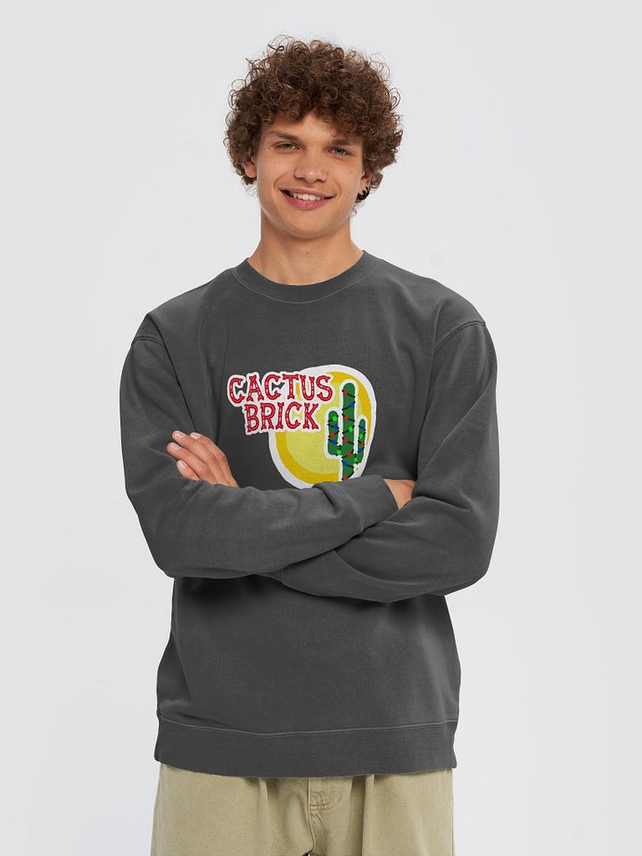 Cactus Brick (Sweater) - Christmas product image (1)