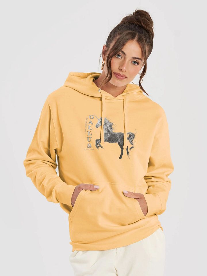 Gallus Hoodies product image (1)