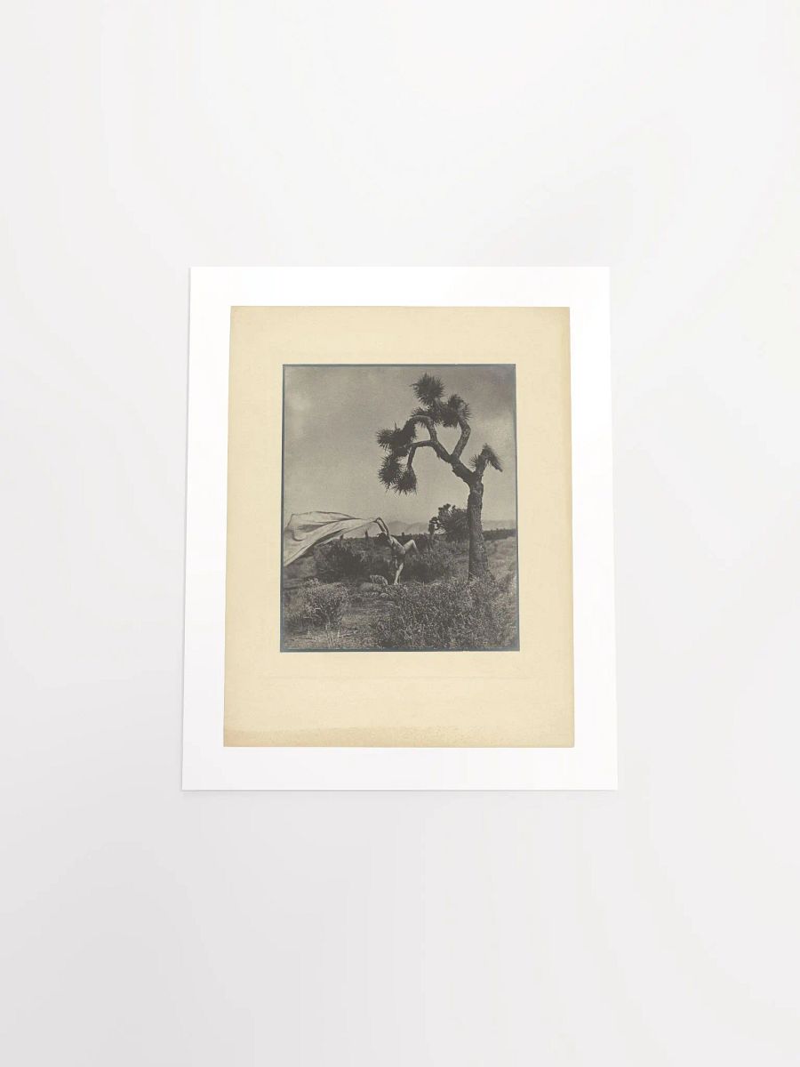 The Desert Wind by Louis Fleckenstein (1930) - Print product image (4)