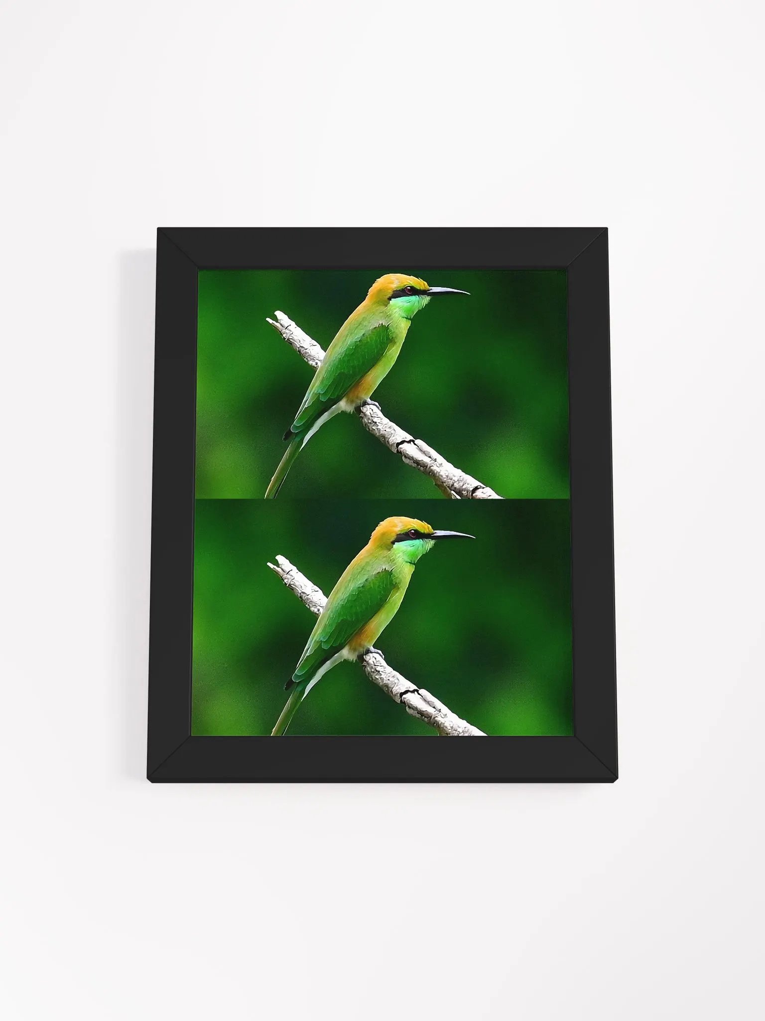 Framed High-Quality Matte BIrds Poster product image (2)
