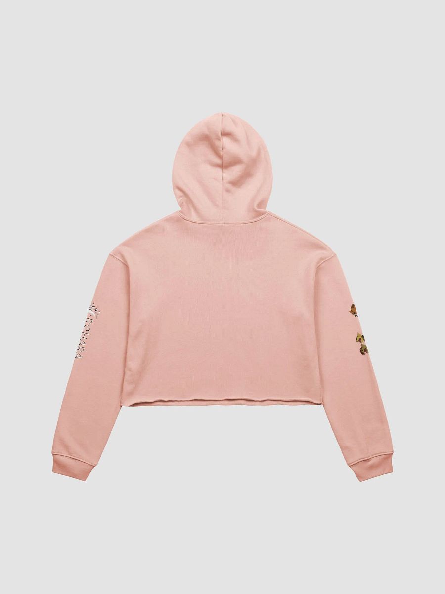 Yapper's Gate Rohara Cropped Hoodie product image (15)