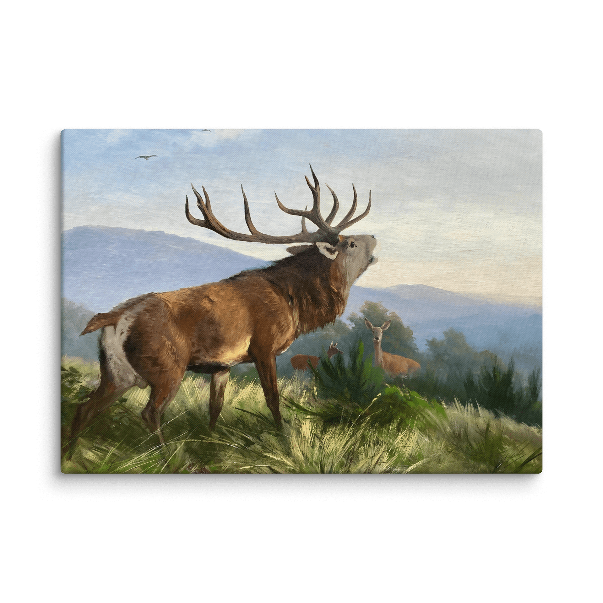 Roaring Deer Stag Canvas Print product image (1)