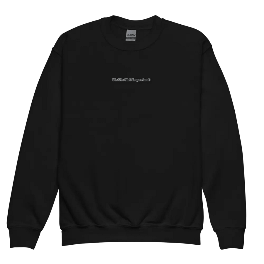 Youth Crew Neck Sweatshirt - Embroidered - Mr I'm Not Important product image (12)
