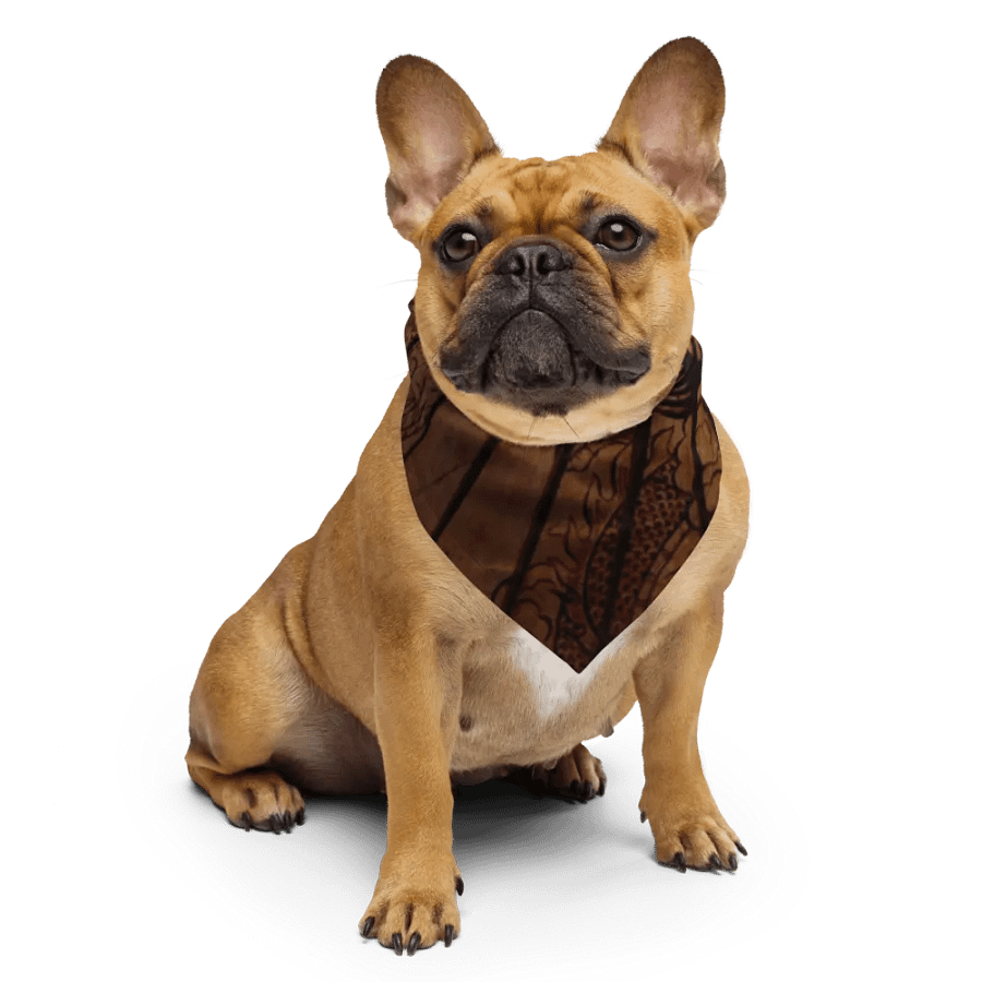 "Shade" Bandanna product image (4)