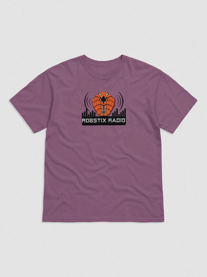 Robstix Radio T SHIRT GREY Embroidered product image (6)