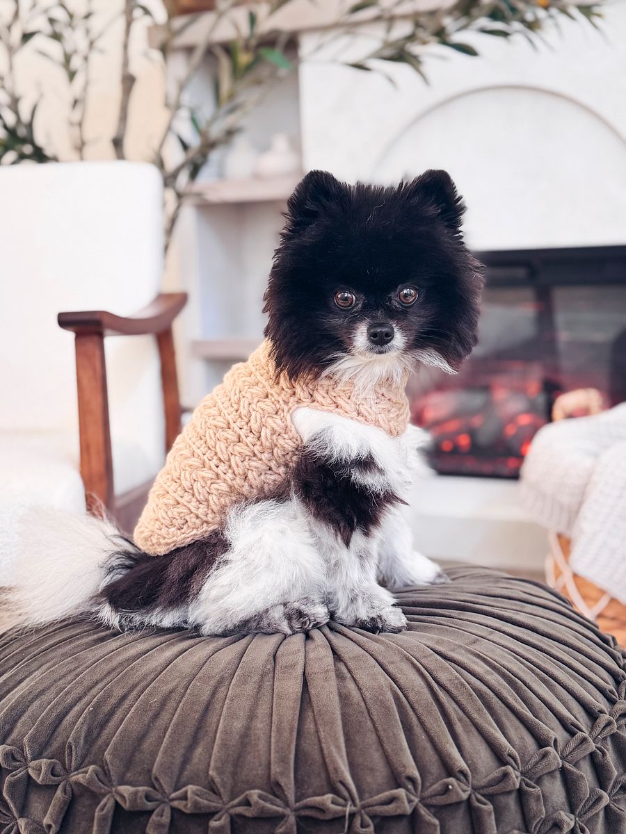 Wheat Stitch Dog Sweater Crochet Pattern in 8 Sizes product image (9)