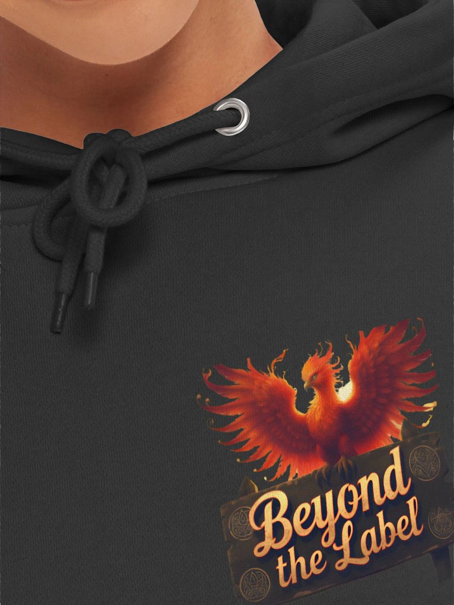 Phoenix Beyond the Label Hoodie product image (38)