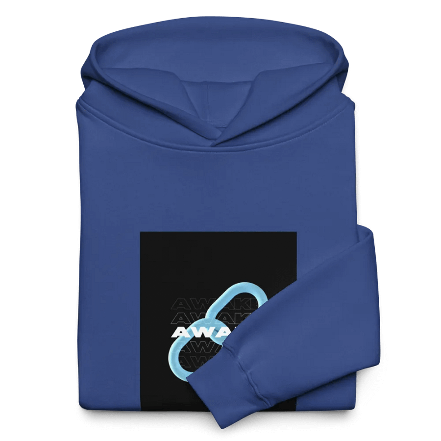 AWAKE Chain Link Graphic Hoodie product image (10)