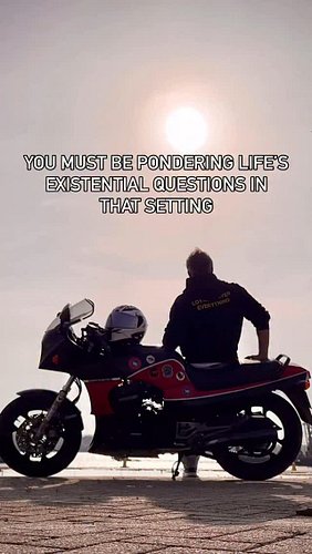 The truth about to my thought process

#live #questions #pondering #wondering #wandering #car #kitten #miauw #motorcycle #bik...