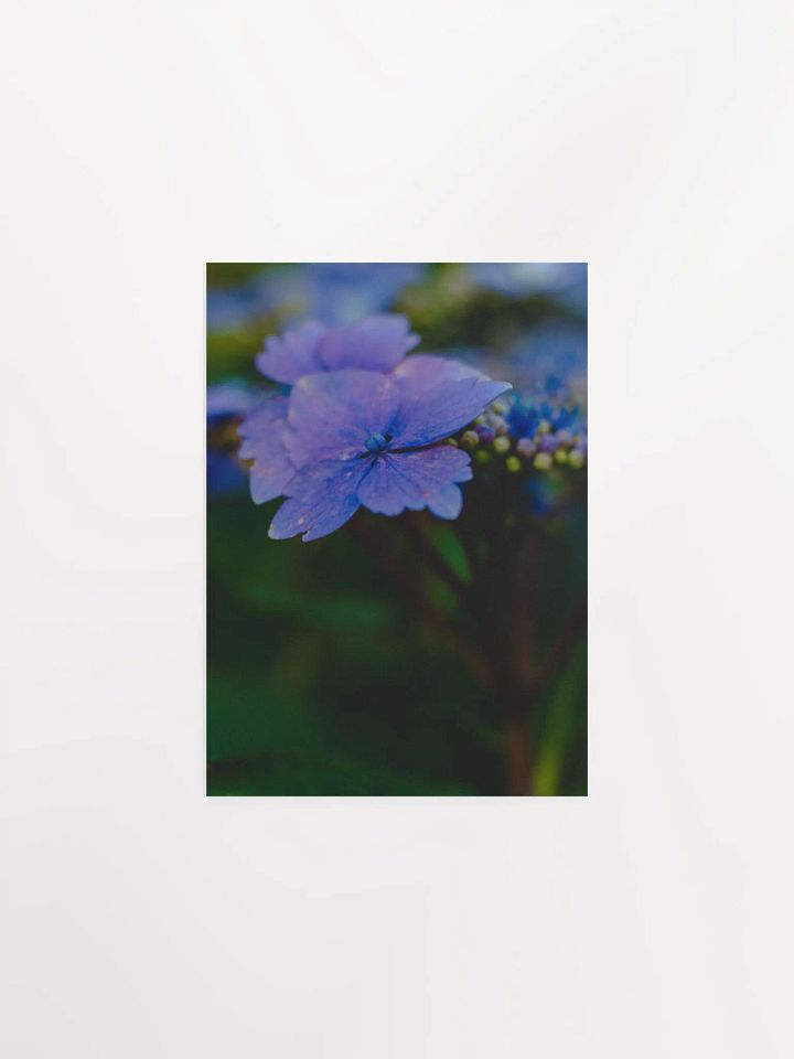 Blooming In The Sun product image (1)