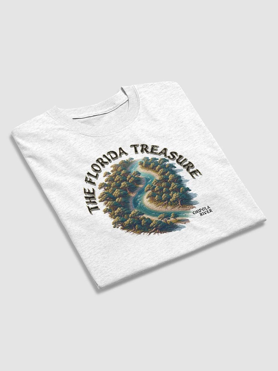 The Florida Treasure Tee product image (4)