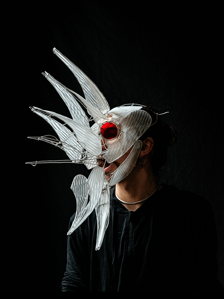 MASK DOWN PAYMENT product image (2)