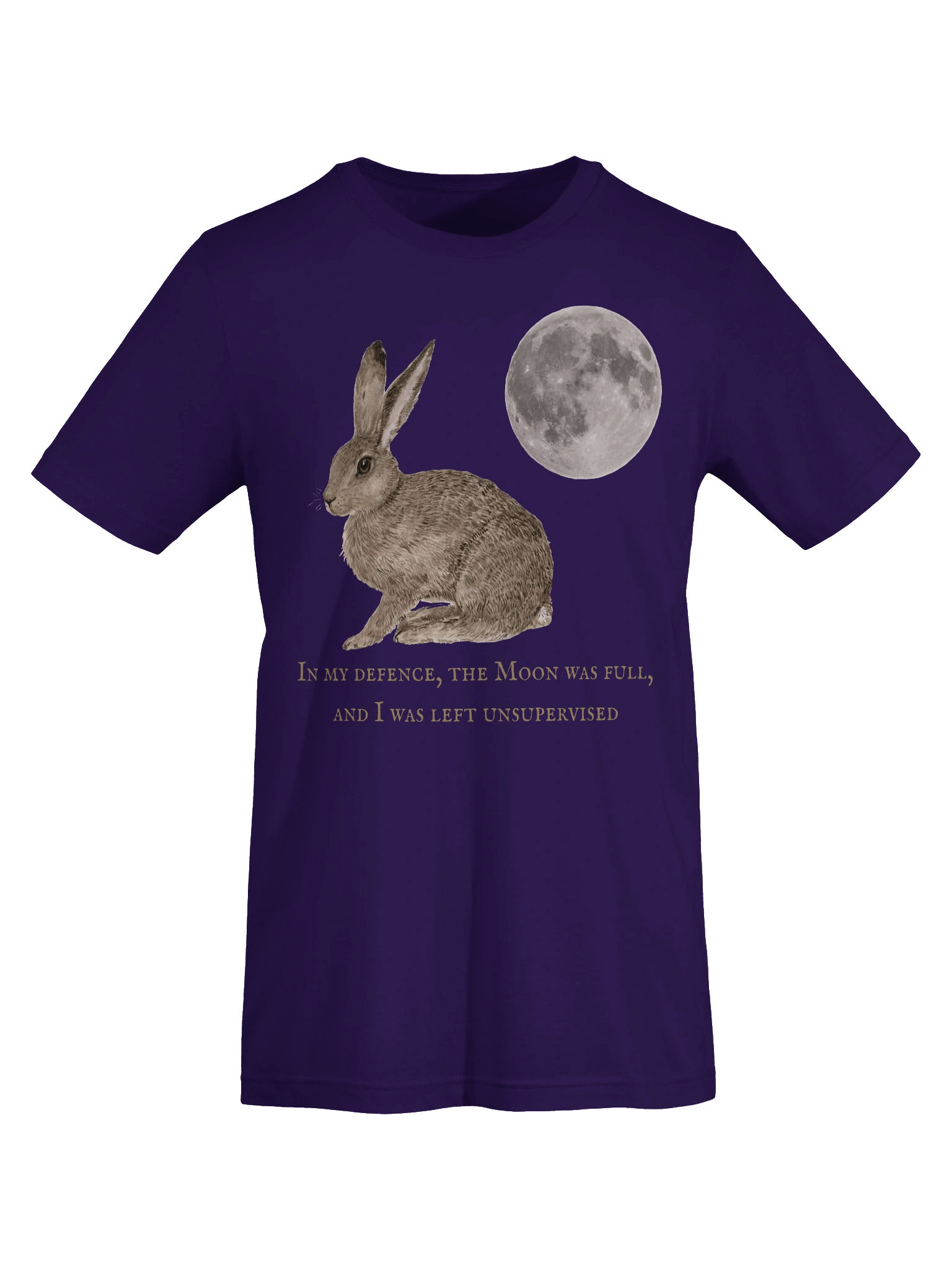 In my defence, the Moon was full... product image (7)