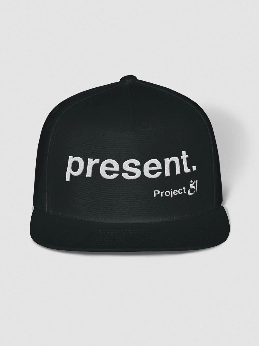 present. Snapback product image (1)
