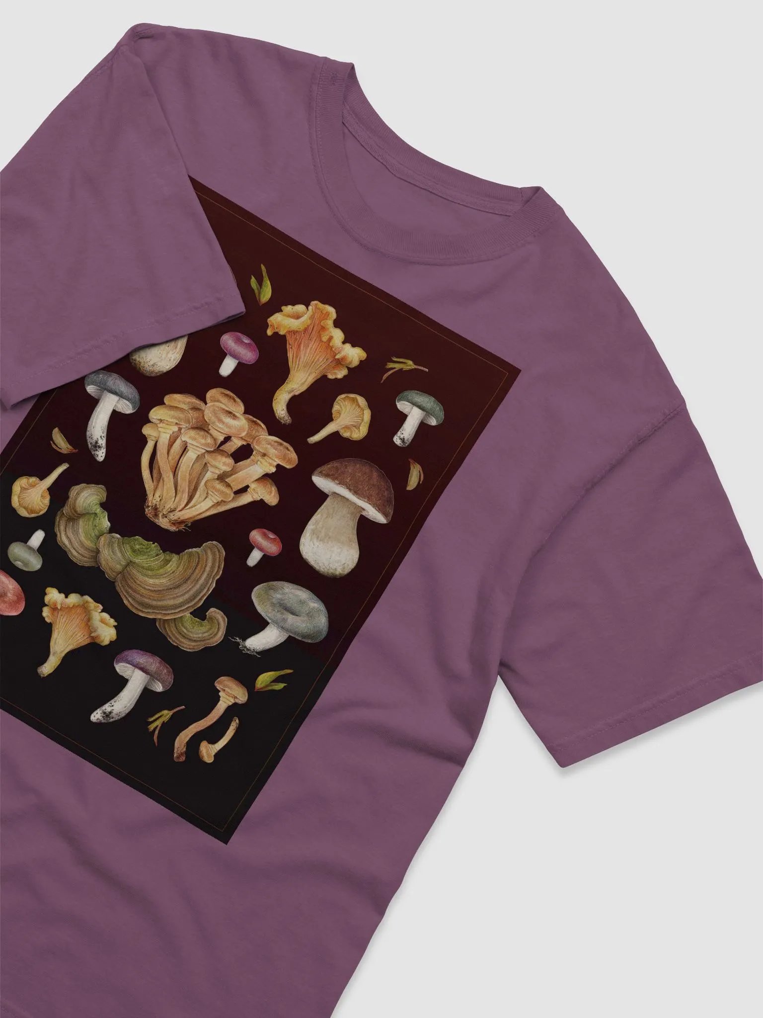 Wild mushrooms T-Shirt product image (1)