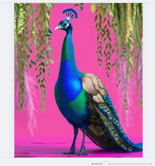 Hot Pink Peacock Wall Art product image (1)