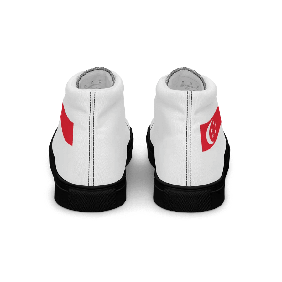 singapore product image (2)