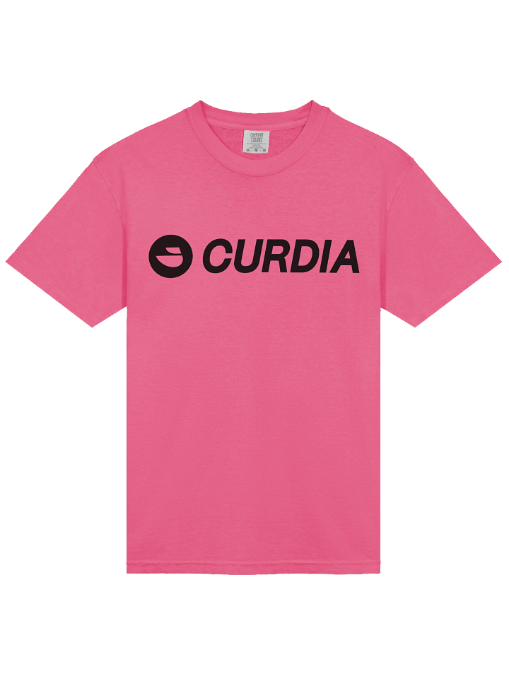 Curdia Black Brand Tee product image (2)