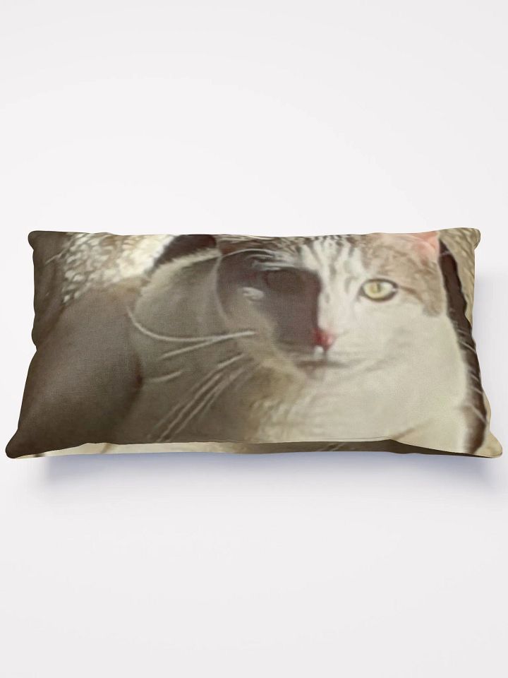 Cat Sunning product image (3)
