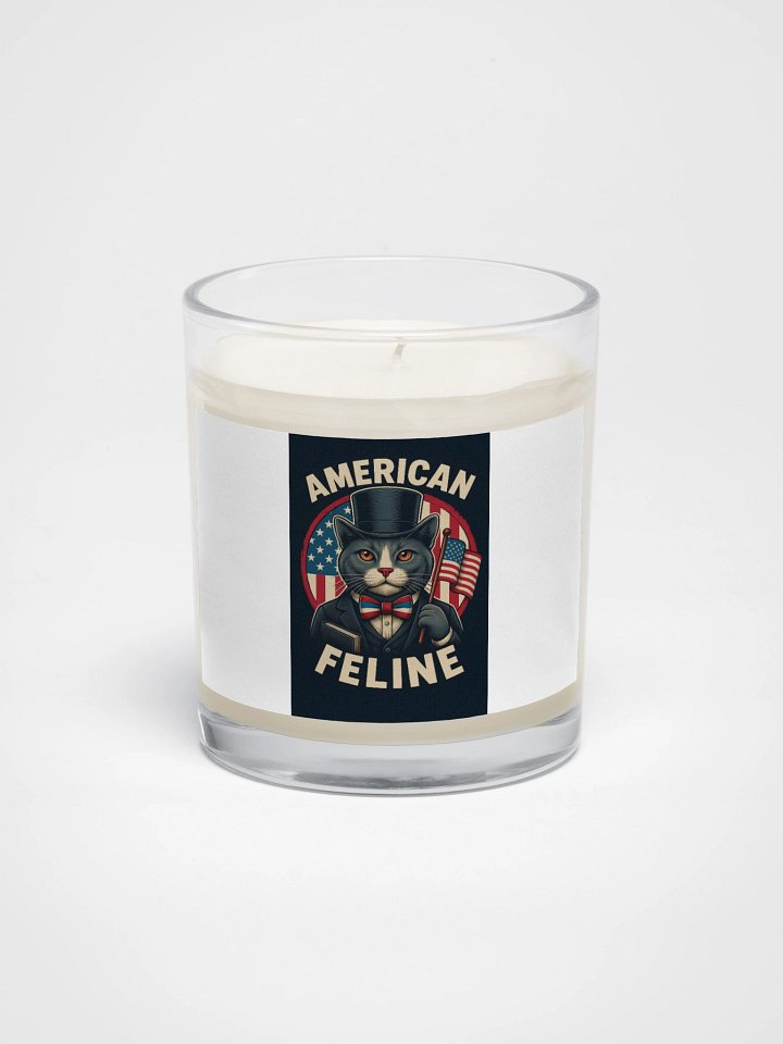 AMERICAN PUSSY product image (1)