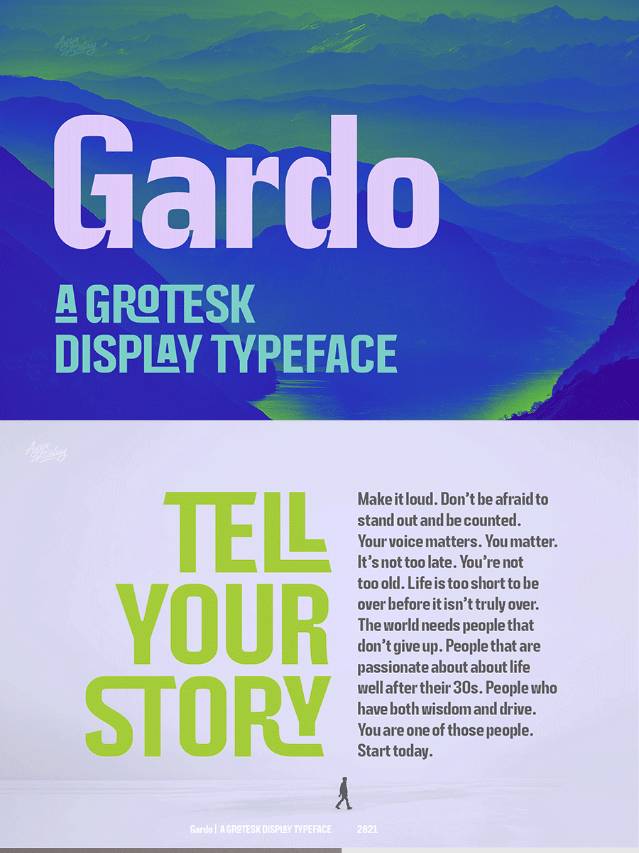 Gardo Grotesk | A Bold Condensed Display Typeface product image (1)