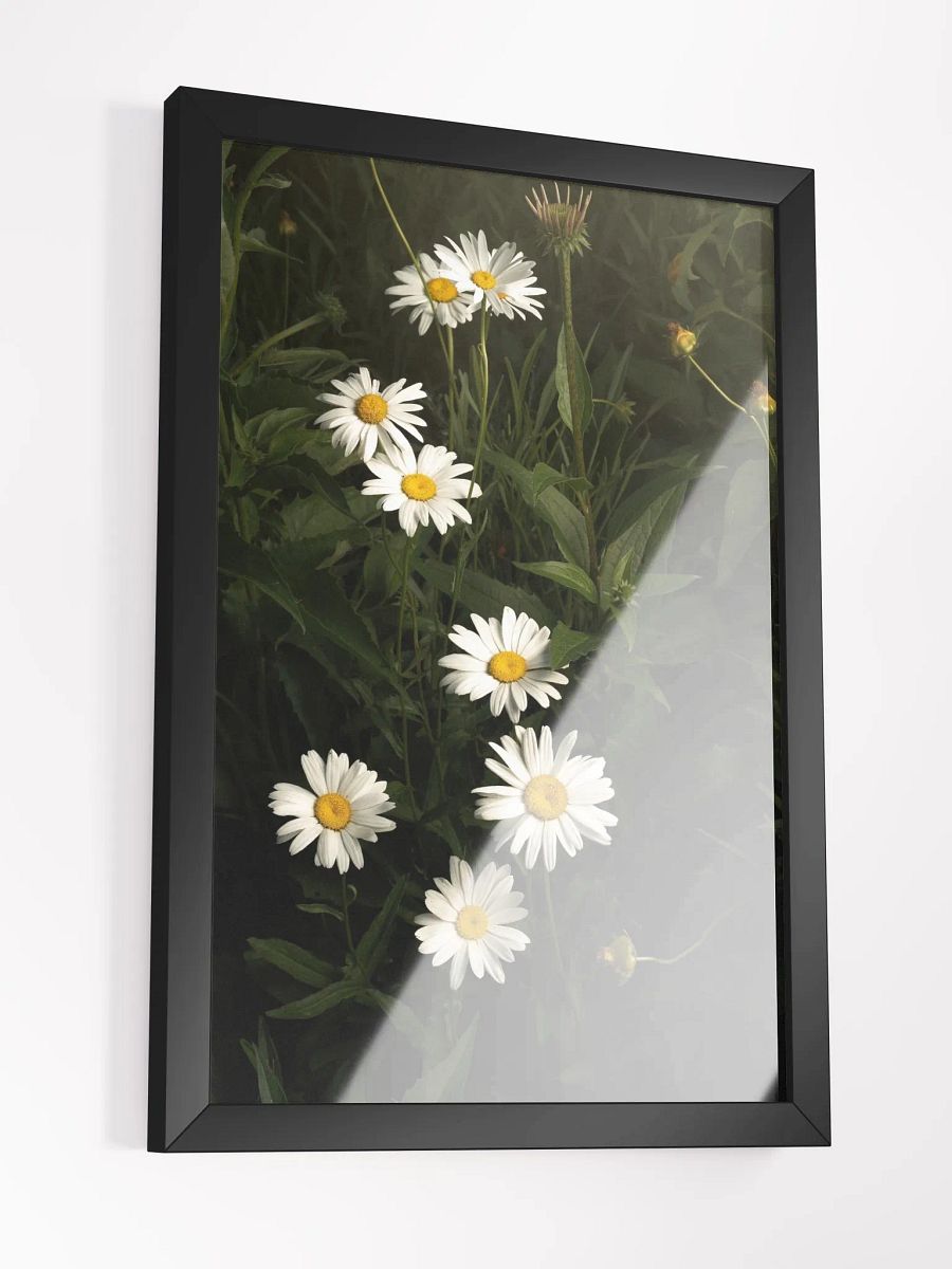 Undulating Daisies product image (4)