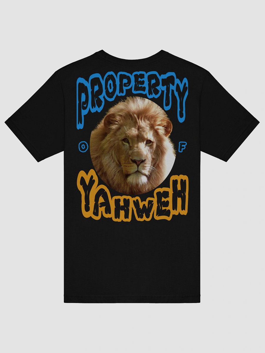 Child of God T-Shirt product image (60)