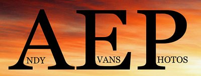 Andy Evans Photos