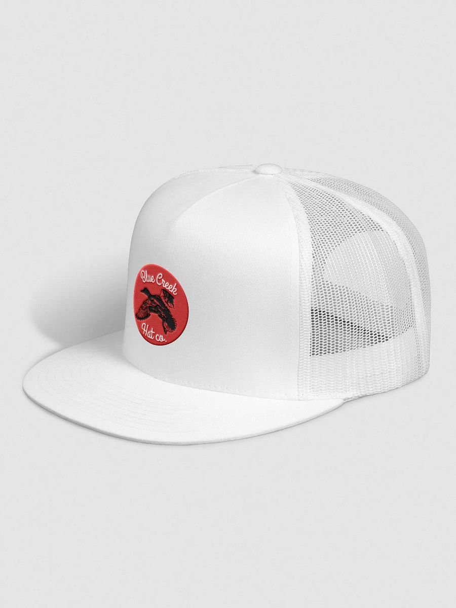 Duck product image (2)