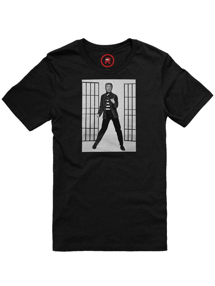 Trump House Rock product image (5)