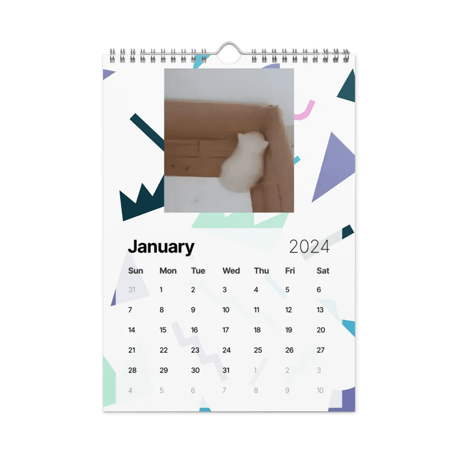 Wall Calendar (2024): Meme Cats product image (8)