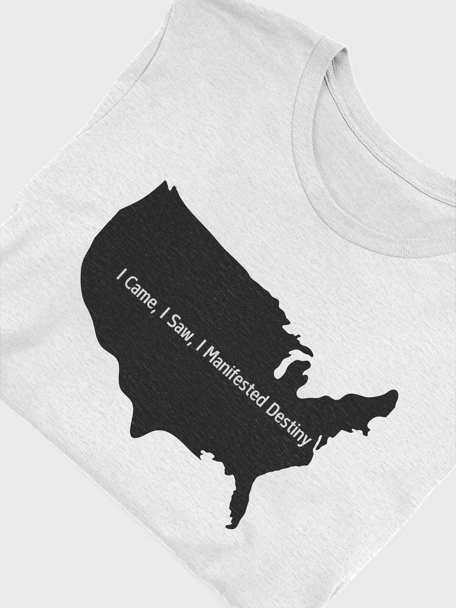 Manifest Destiny Graphic Tee product image (27)