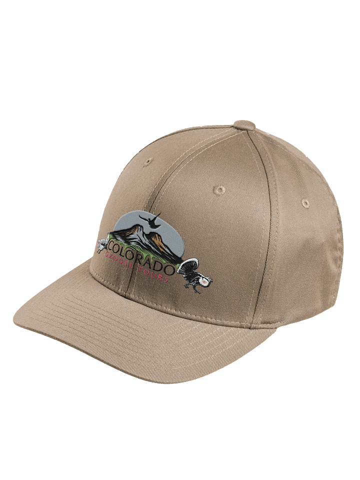 Colorado Grouse Tours Logo Hat product image (2)