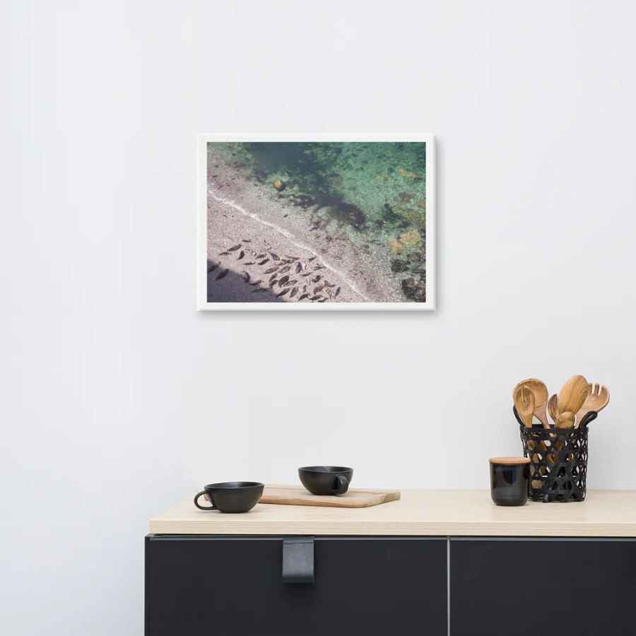 Seals on a hidden beach product image (8)