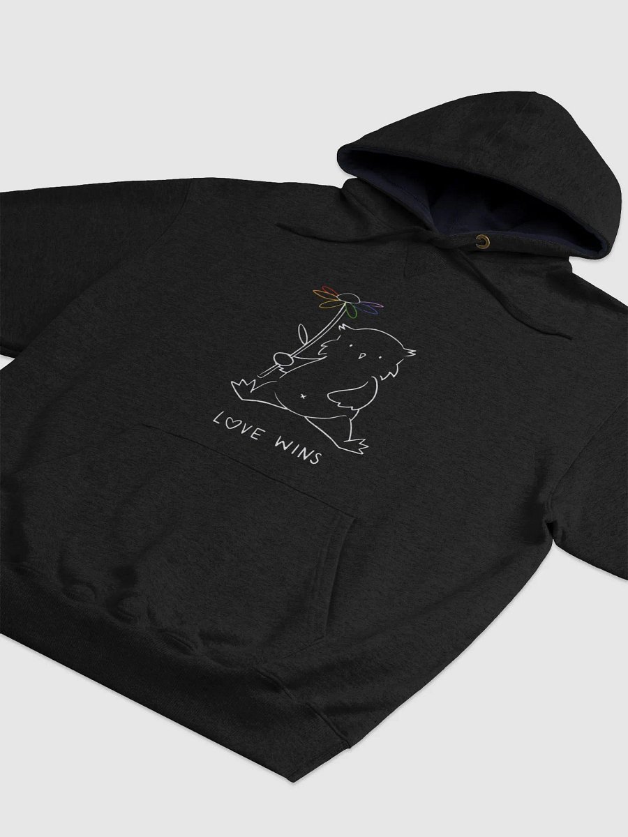 Love Wins Champion Cotton Max Hoodie (Black) product image (6)