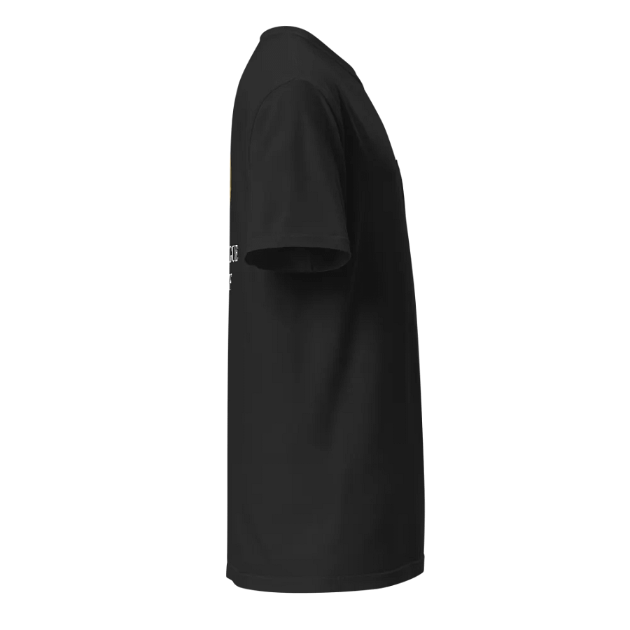 COMFORT COLORS IS TOO EXPENSIVE PLAYOFF TEE product image (10)