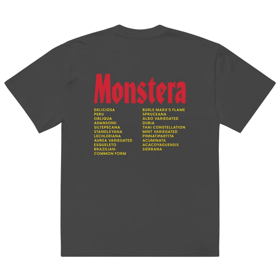 ⚡️ MONSTERA WORLD TOUR ⚡️ oversized tee product image (4)