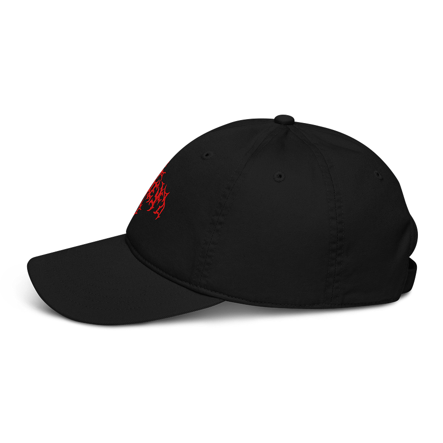 Dailey Dad Hat product image (3)
