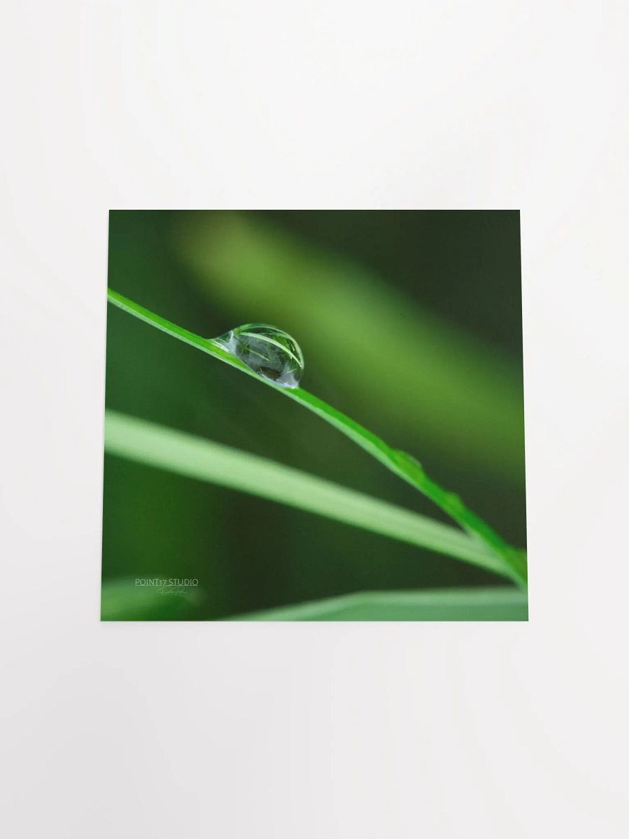 Dew Gems #6 - Print product image (10)