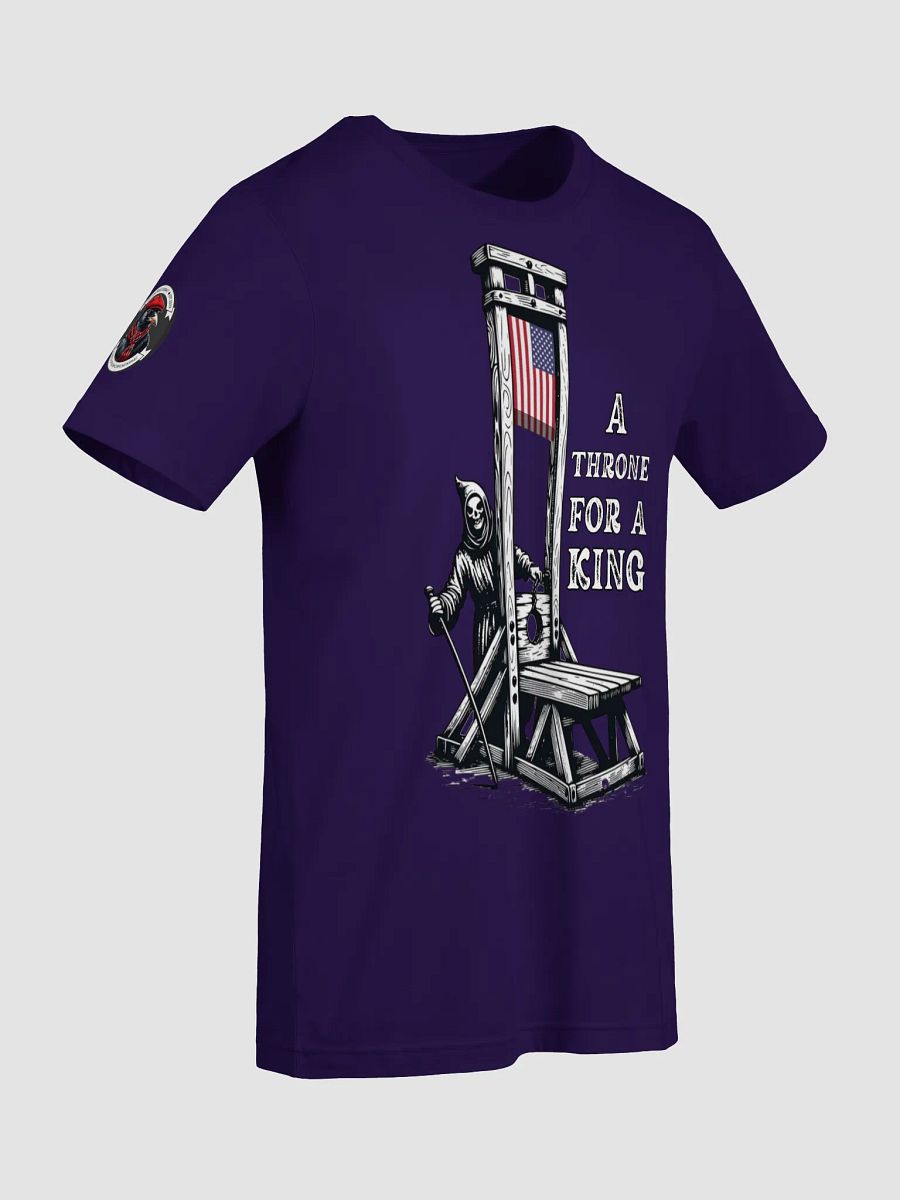 LIMITED - JUNE 2025 - FLAG DAY - NO KINGS product image (89)