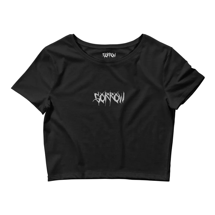 Sorrow Canvas Crop Top product image (1)