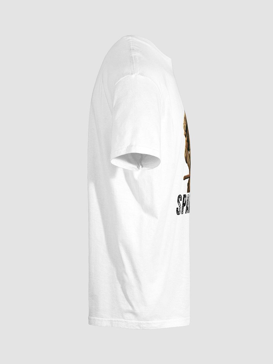 Spartan Sledge Shirt Light product image (29)