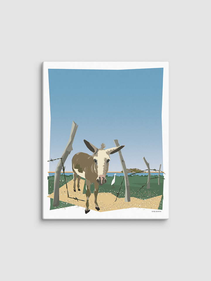 Burro Canvas Print product image (1)