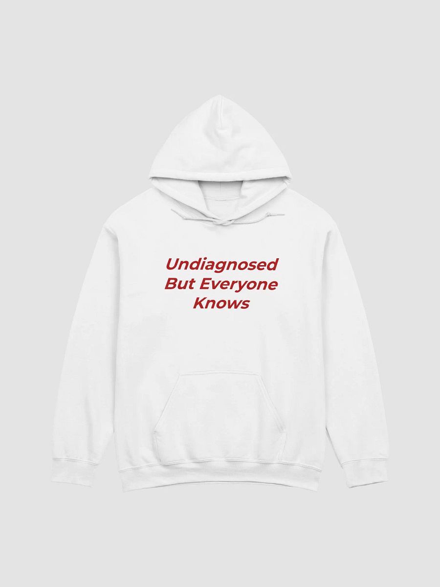 Undiagnosed But Everyone Knows Hoodie product image (1)