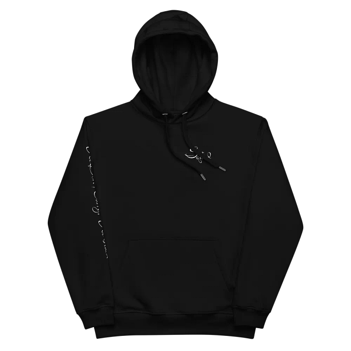 Siz Squad "We Don't Carry" Hoodie (Size Inclusive) product image (2)