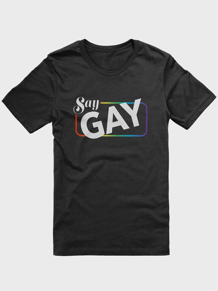 Say Gay product image (5)