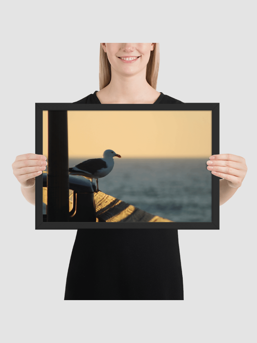 Seagull landing Framed photography Poster product image (1)